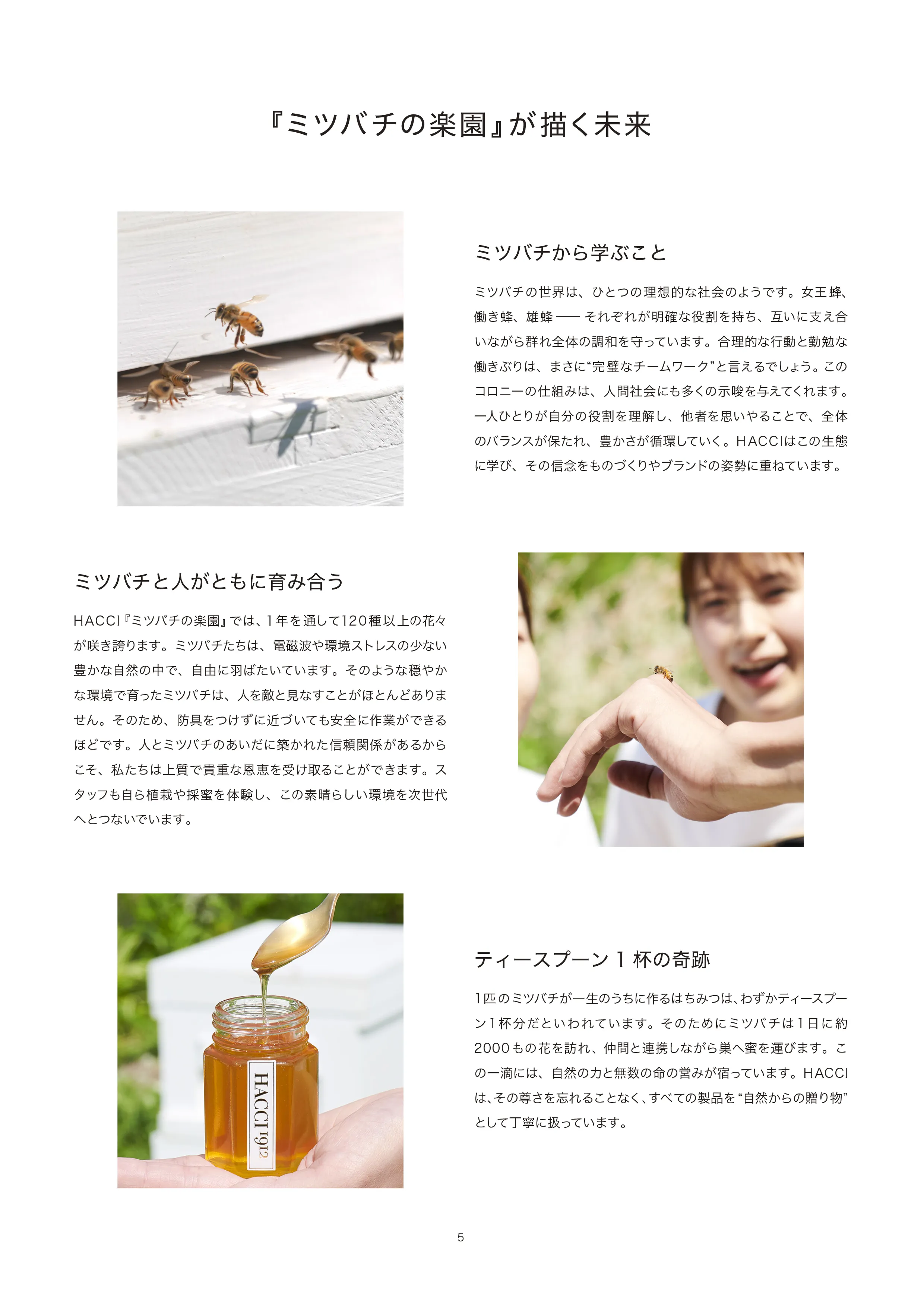 養蜂園概要 5ページ目