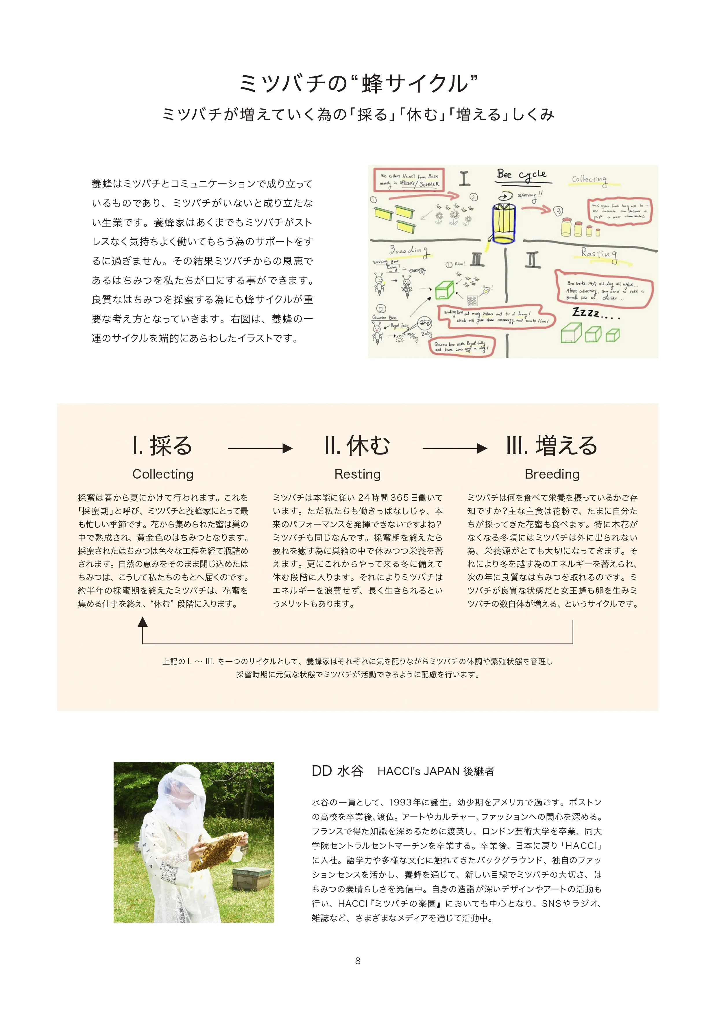 養蜂園概要 8ページ目